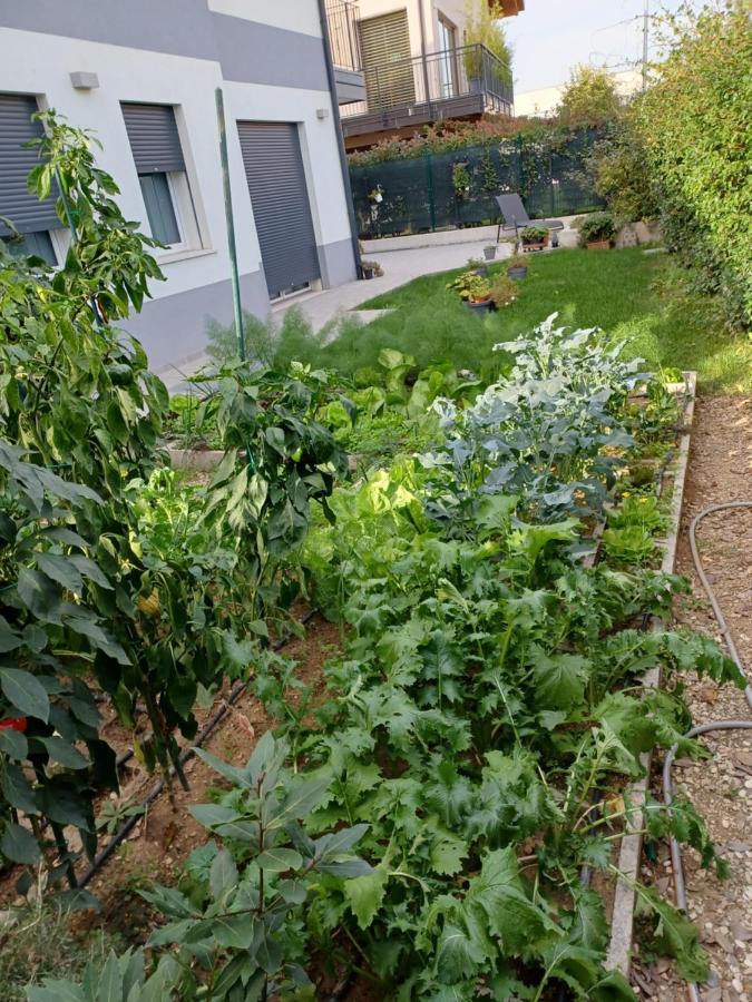 Alessietto Apartman Verona Kültér fotó