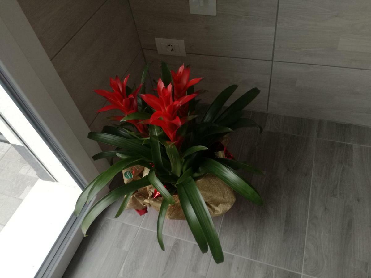 Alessietto Apartman Verona Kültér fotó
